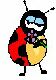 Lady Bug
